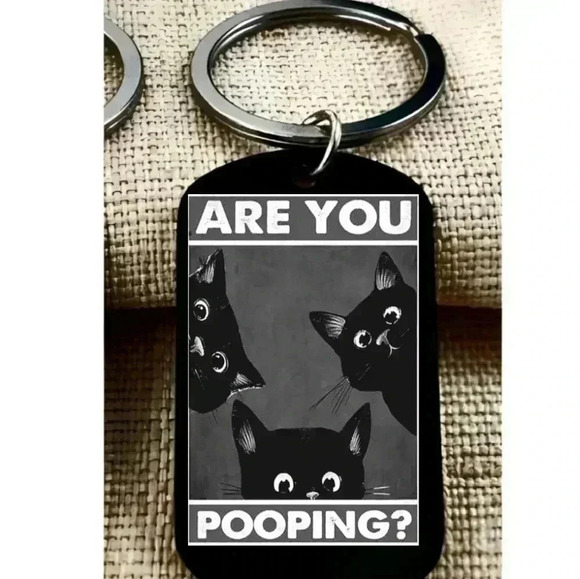 Kitty Cat funny  staring joke quote keychain - Picture 1 of 1